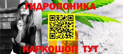 шишки Баксан